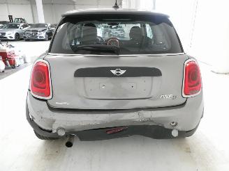Mini One 1.5D  D picture 5