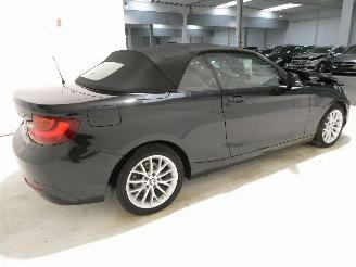 BMW 2-serie 2.0 D picture 8