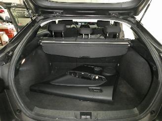 Toyota Prius LOUNGE picture 19