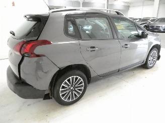 Peugeot 2008 ACTIVE picture 7