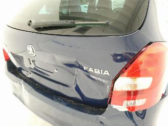 Skoda Fabia II ACTIVE picture 8