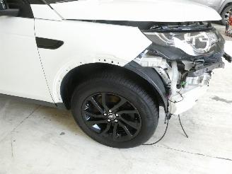 Land Rover Discovery Sport 2.0D picture 11