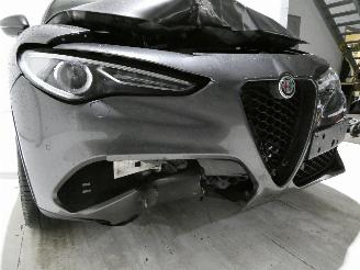 Alfa Romeo Stelvio 2.2D B-TECH picture 12