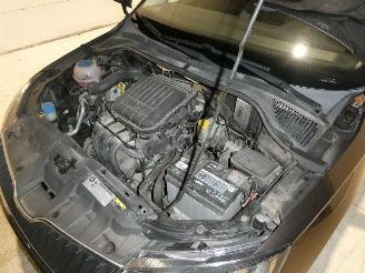 Skoda Fabia AMBITION picture 21