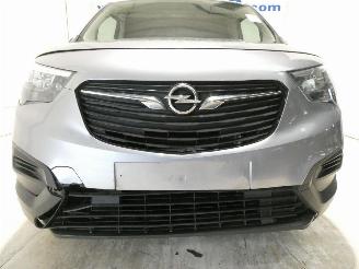 Opel Combo E CARGO picture 11