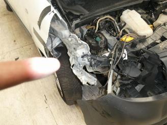 Renault Kangoo 1.5DEXPRESS MAXI DSL picture 25