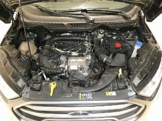Ford EcoSport COOL&CONNECT picture 23