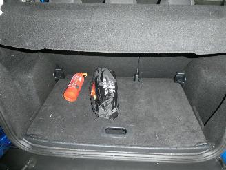 Ford EcoSport 1.0 picture 19