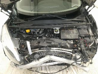 Renault Mégane SCENIC III BOSE EDIT picture 24