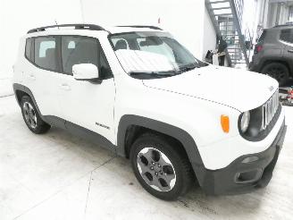 Jeep Renegade LONGITUDE picture 9