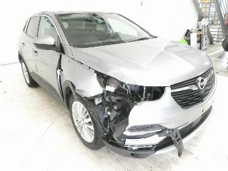 Opel Grandland X INNOVATION picture 9