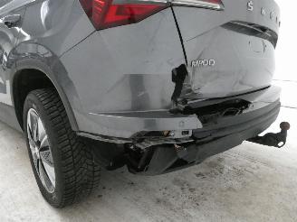 Skoda Karoq STYLE picture 5