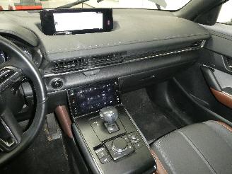 Mazda MX-30 0 picture 13