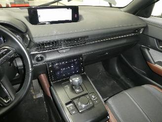 Mazda MX-30 0 picture 13