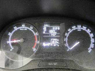 Skoda Fabia ACTIVE picture 19