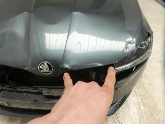 Skoda Fabia ACTIVE picture 7