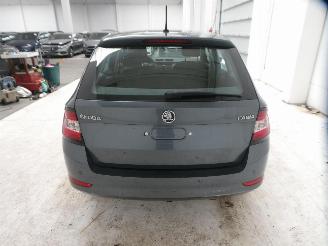 Skoda Fabia ACTIVE picture 14