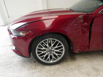 Ford Mustang  picture 7