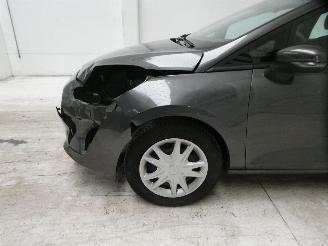 Ford Fiesta BUSINESS picture 8