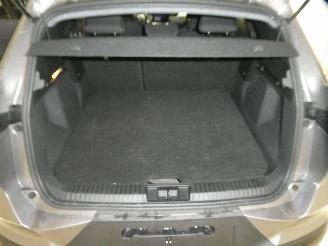 Renault Symbioz EVOLUTION picture 24