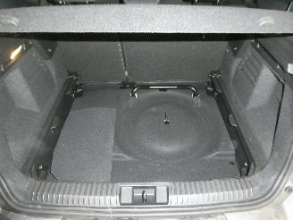 Renault Symbioz EVOLUTION picture 25