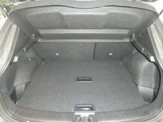 Nissan Qashqai  picture 20