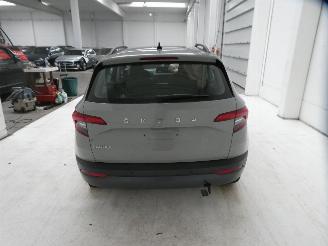 Skoda Karoq AMBITION picture 9