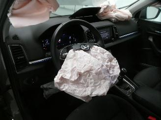 Skoda Karoq AMBITION picture 17