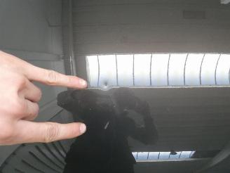 Audi A3 SPORT picture 3