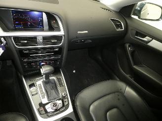 Audi A5 2.0D   QUATTRO picture 14