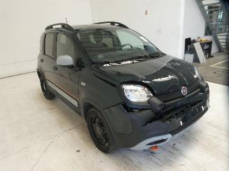 Fiat Panda CITY CROSS picture 9