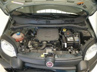 Fiat Panda CITY CROSS picture 22