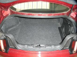 Ford Mustang  picture 24