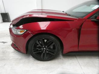 Ford Mustang  picture 6