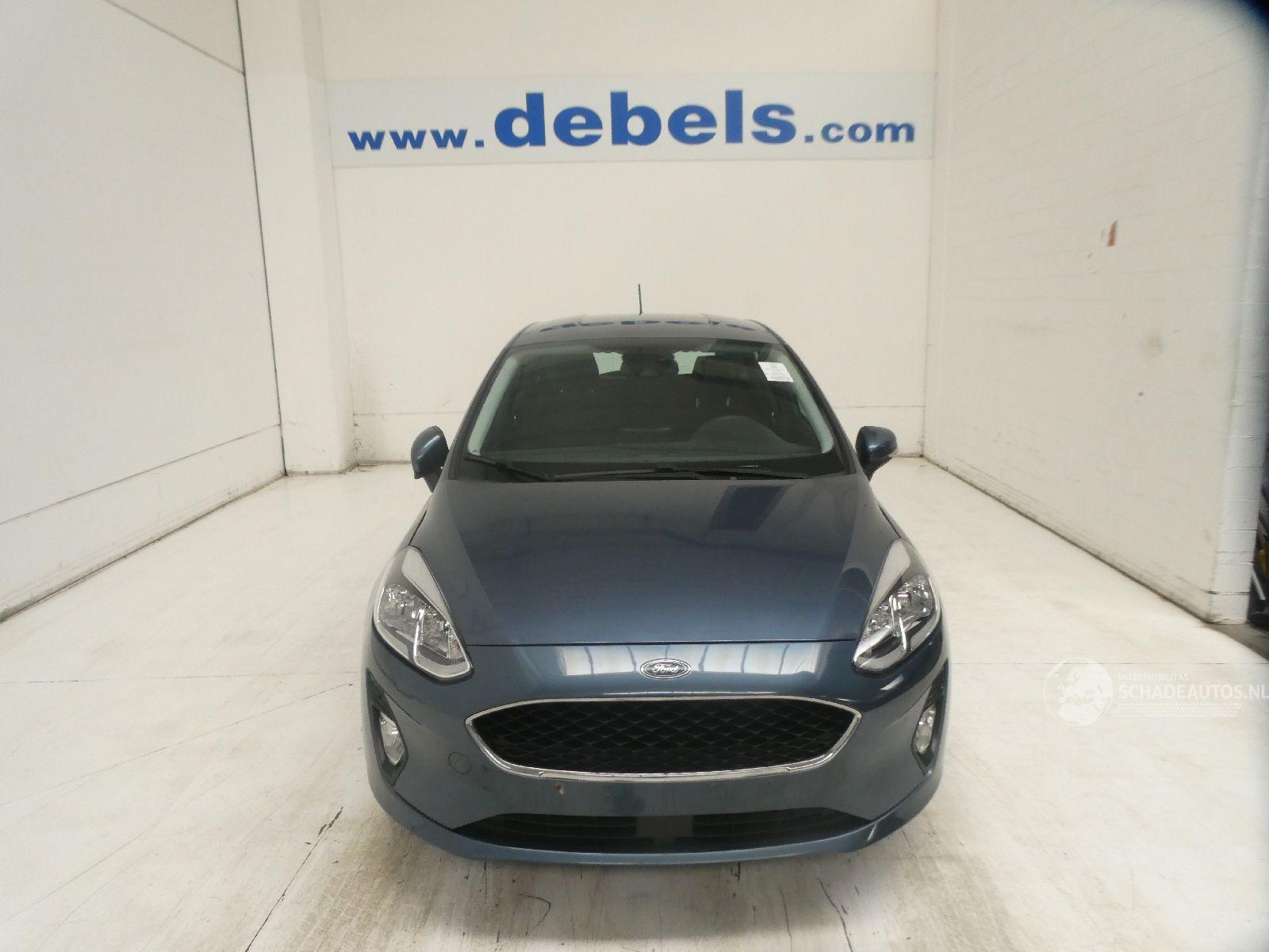Ford Fiesta BUSINESS