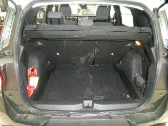 Citroën C3 Aircross AIRCROSS PLUS picture 19