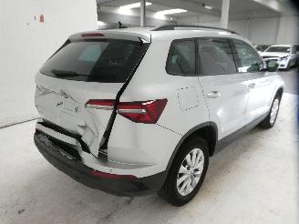 Skoda Karoq AMBITION picture 9