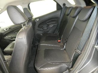 Ford EcoSport  picture 17