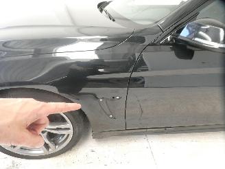 BMW 4-serie 2.0D D picture 5
