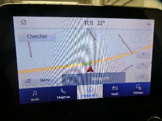 Ford EcoSport COOL&CONNEC picture 20