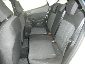 Ford Fiesta  picture 15