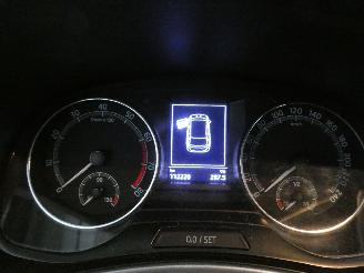 Skoda Fabia  picture 18