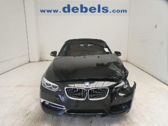 škoda osobní automobily BMW 2-serie CABRIO 2018/6