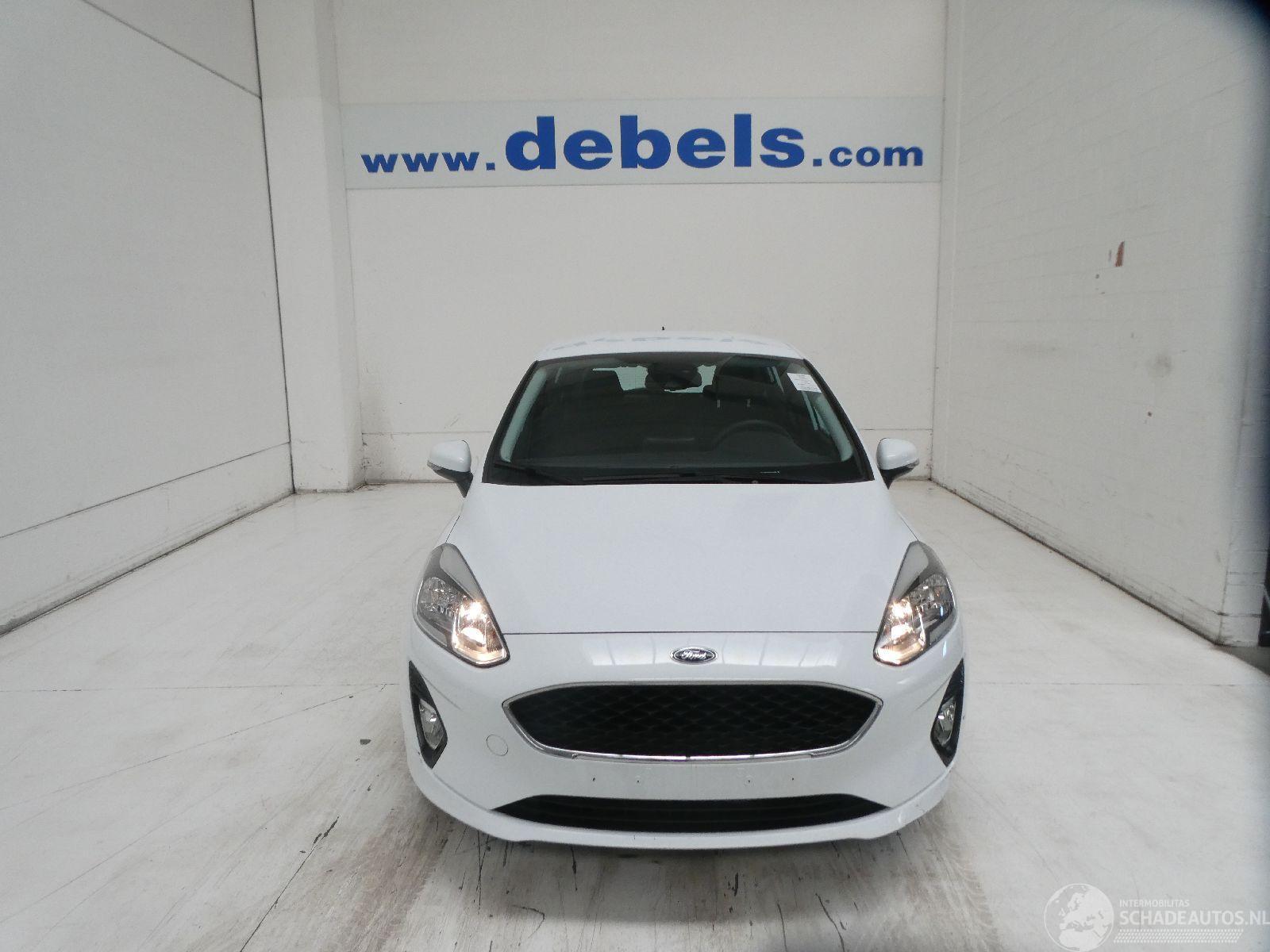 Ford Fiesta 1.1 5 DEURS