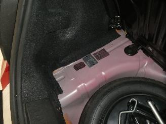 Fiat 500  picture 18