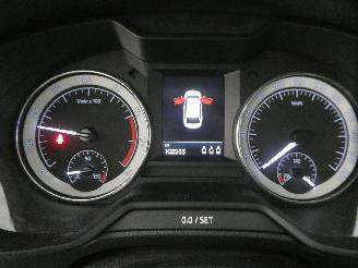 Skoda Octavia AMBITION picture 13
