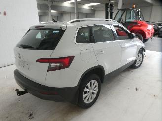 Skoda Karoq  picture 10