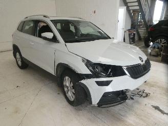 Skoda Karoq  picture 13