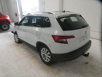 Skoda Karoq  picture 7