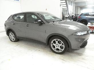 Alfa Romeo Tonale 1.6D picture 7